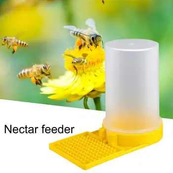 Инструмент для поения пчел, поилки для пчел, прозрачные стаканчики для поения пчел, кормушка для входа в станцию, необходимая для пчеловодства в Улье